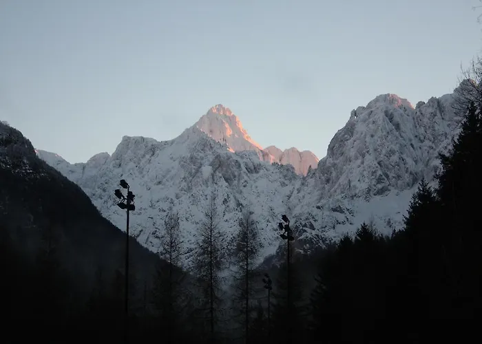 Hiša za goste Romana